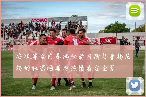 安联球场内幕揭秘赫内斯与鲁梅尼格的秘密通道与热情看台全景